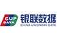 銀聯數據